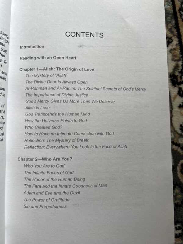Secret of Divine Love - Image 2