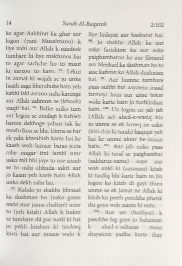 The Quraan (Roman Urdu) - Image 3