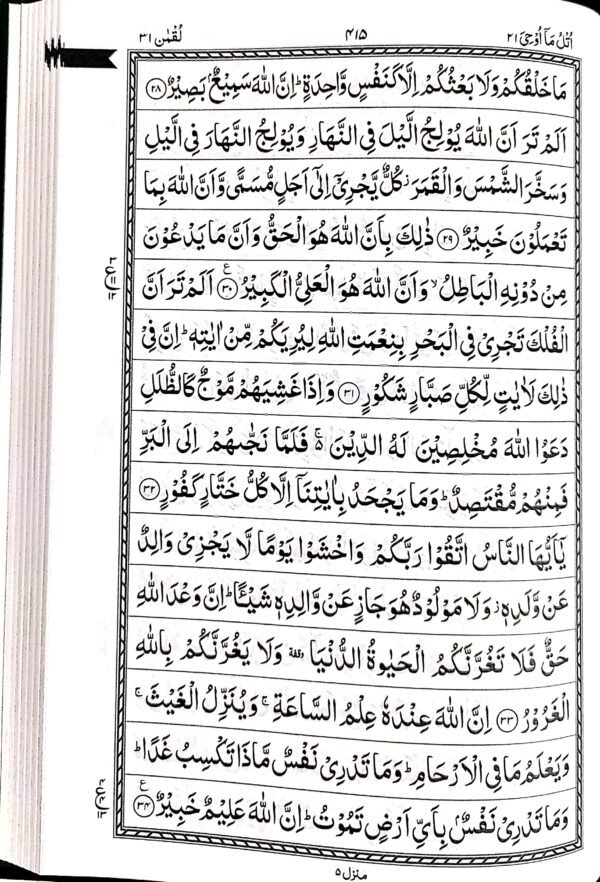 Hafizi Quran_Day Light Page effect_123 size - Image 3