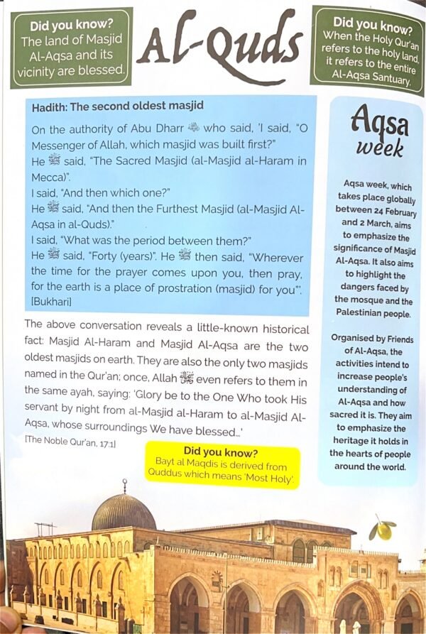 The Land of Olives (Kids book) - Image 3